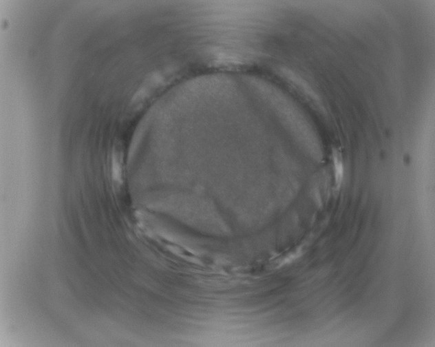 X0000082721348200702232311