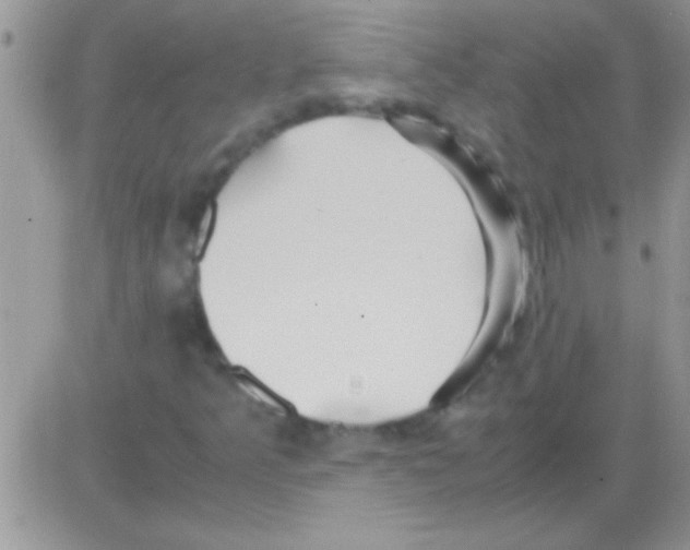 X0000082721349200702232311