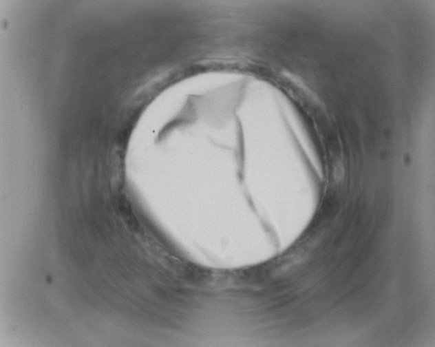 X0000082721350200702232311