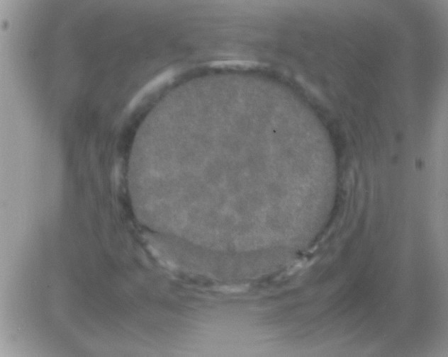 X0000082721351200702232311