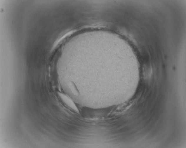 X0000082721352200702232311