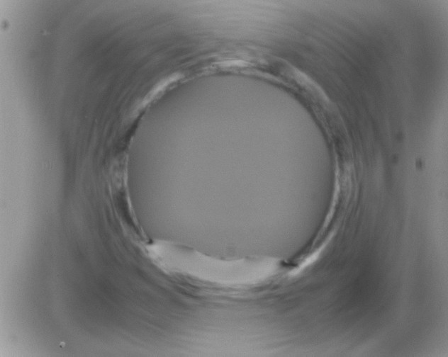 X0000082721353200702232311