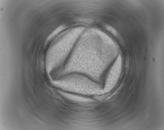 X0000082721354200702232311