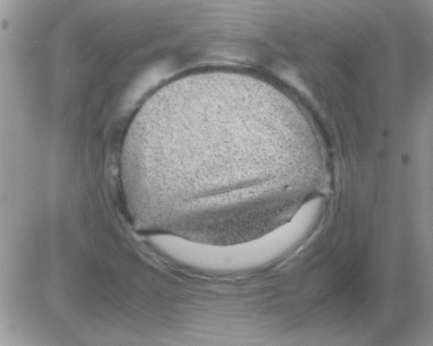 X0000082721355200702232311