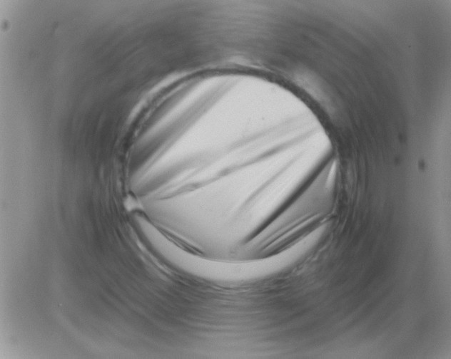 X0000082721356200702232311