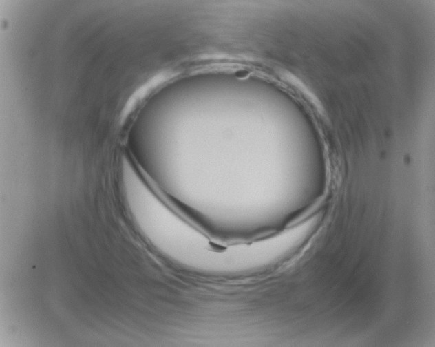 X0000082721357200702232311