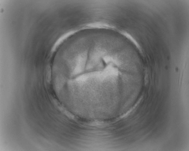 X0000082721358200702232311