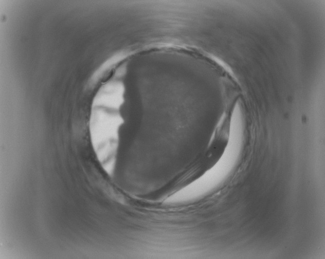 X0000082721359200702232311