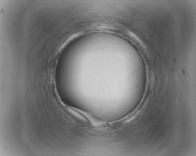 X0000082721361200702232311