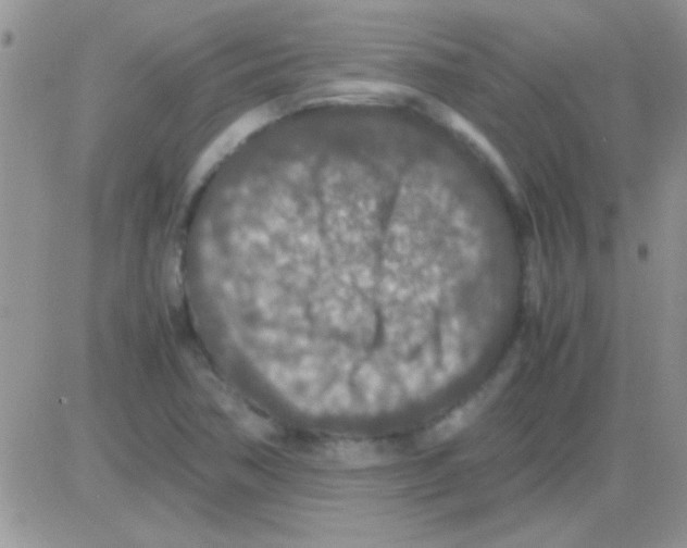 X0000082721362200702232311