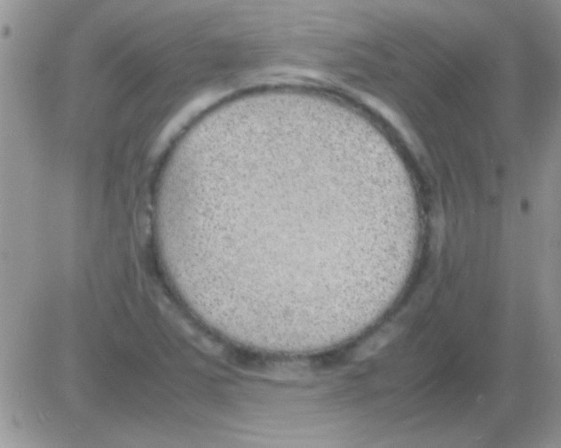 X0000082721363200702232311