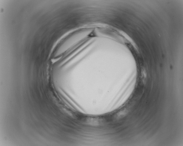 X0000082721364200702232311