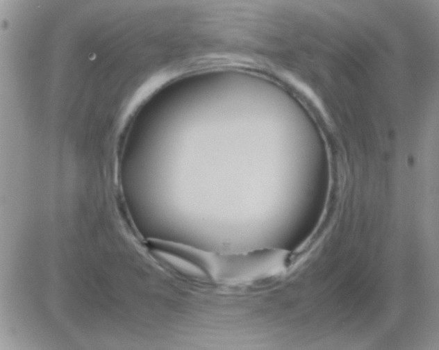 X0000082721365200702232311