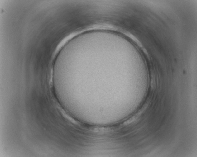 X0000082721366200702232311