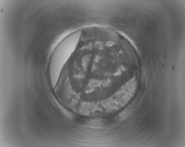 X0000082721367200702232311