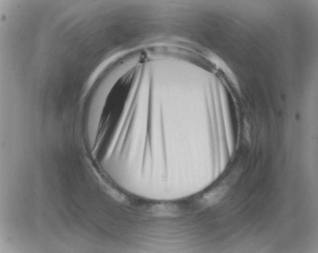 X0000082721368200702232311