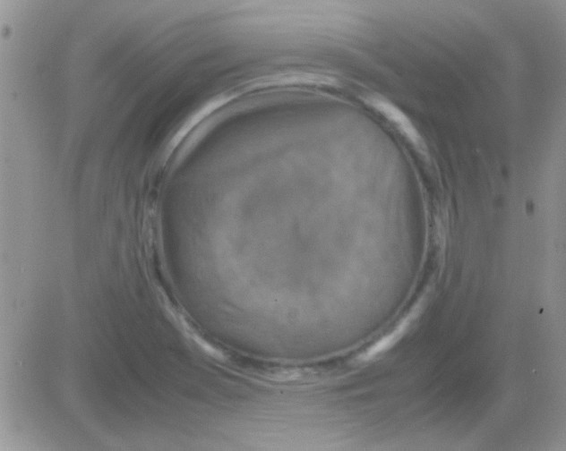 X0000082721369200702232311