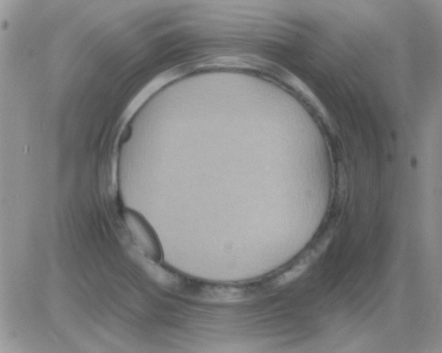 X0000082721370200702232310