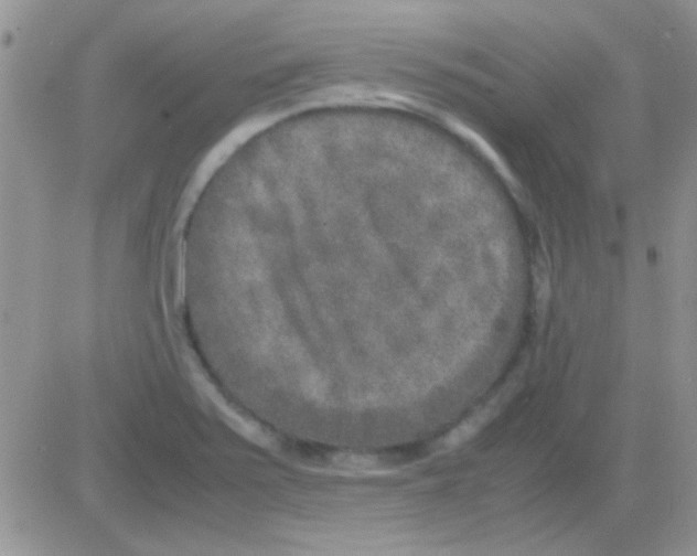 X0000082721371200702232310