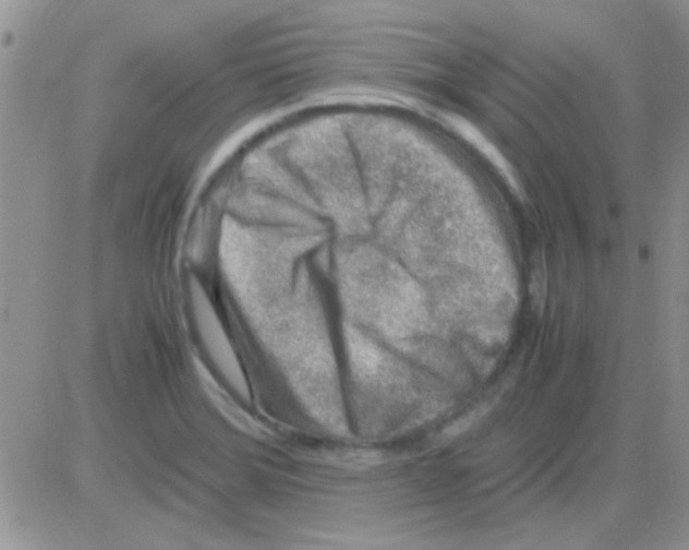 X0000082721372200702232310