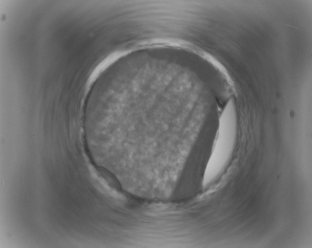 X0000082721373200702232310