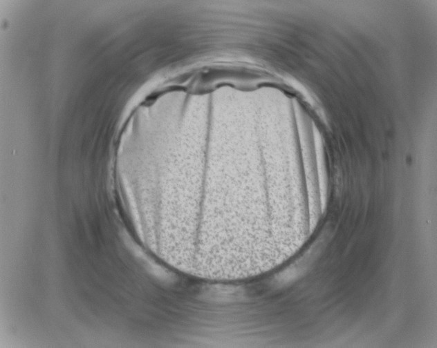 X0000082721374200702232310