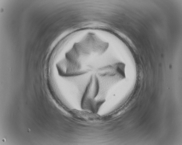 X0000082721375200702232310