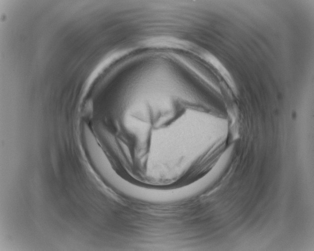 X0000082721376200702232310