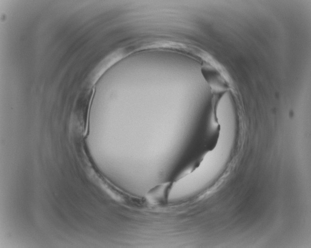 X0000082721377200702232310