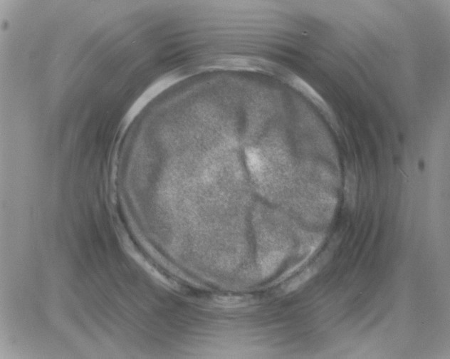 X0000082721378200702232310