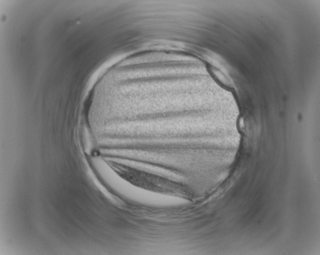 X0000082721379200702232310