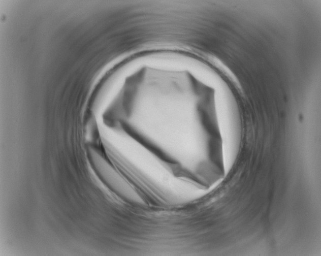 X0000082721380200702232310