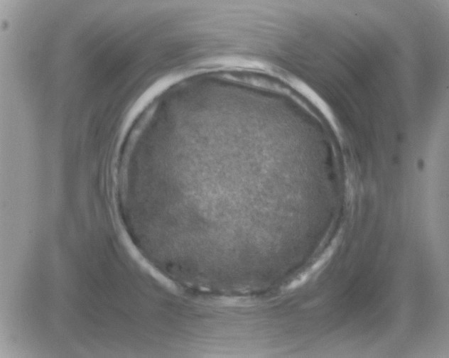 X0000082721381200702232310