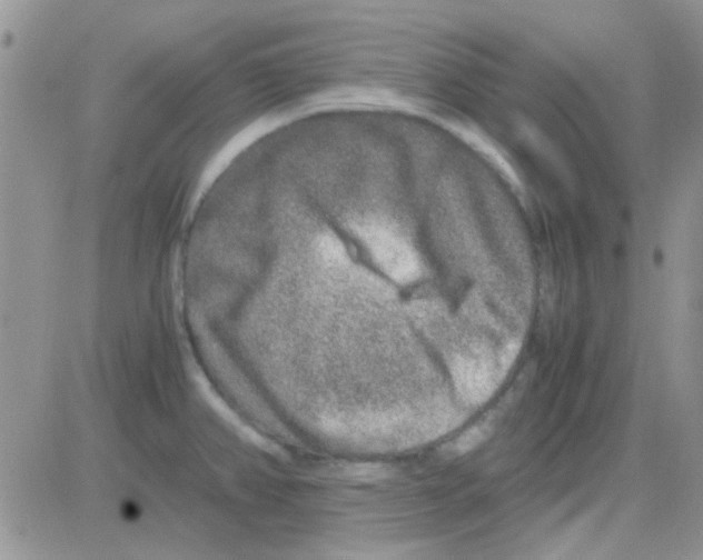 X0000082721382200702232310