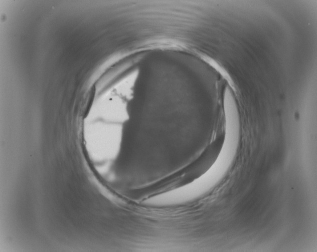 X0000082721383200702232310