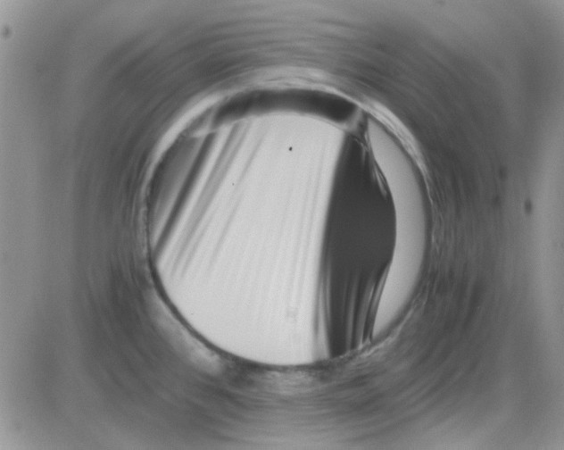 X0000082721384200702232310