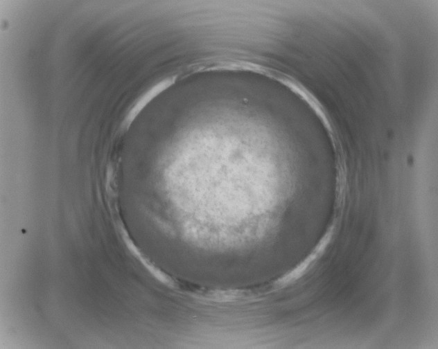 X0000082721385200702232310