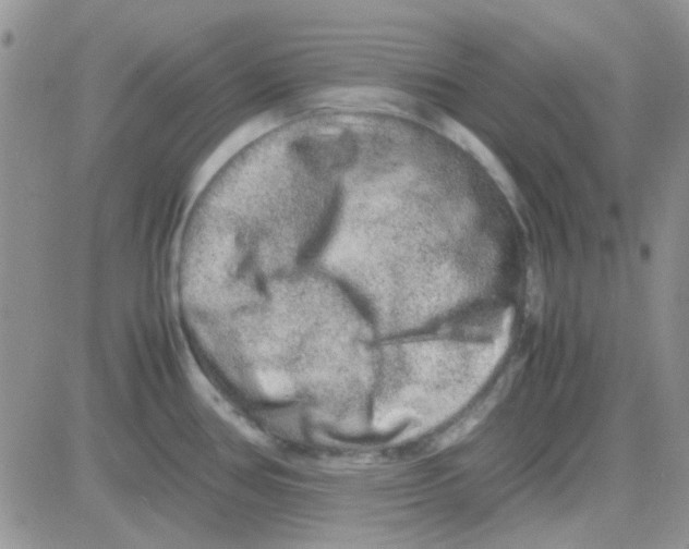 X0000082721386200702232310