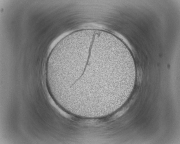 X0000082721387200702232310