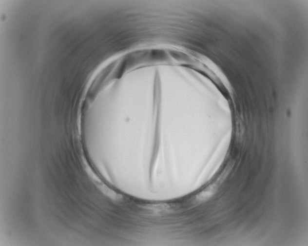 X0000082721388200702232310