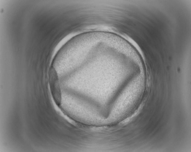 X0000082721389200702232310