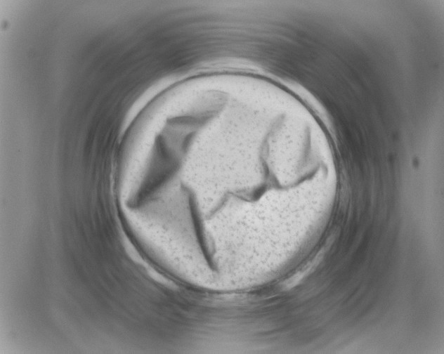 X0000082721390200702232310