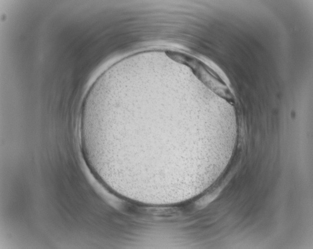 X0000082721391200702232310