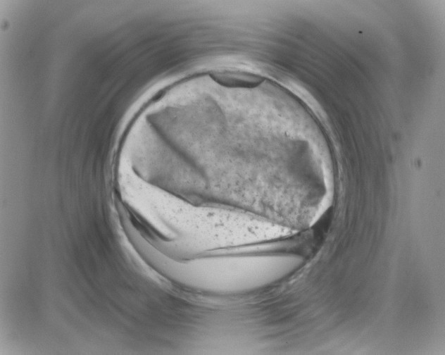 X0000082721392200702232310