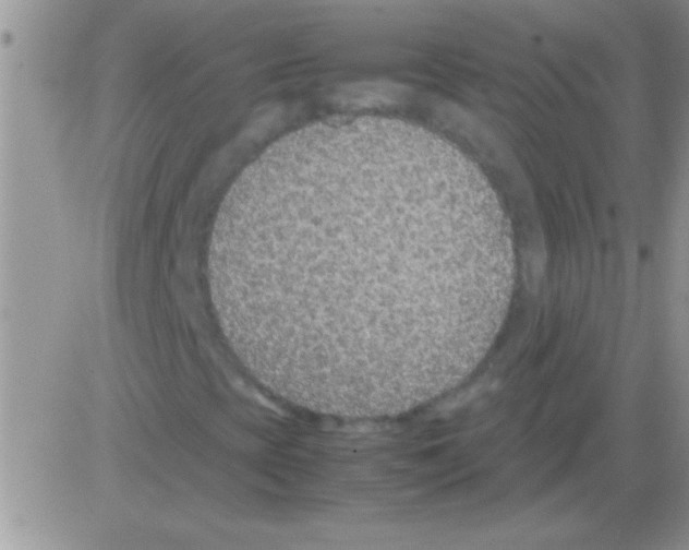 X0000082721393200702232309