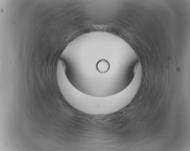 X0000082721394200702232309