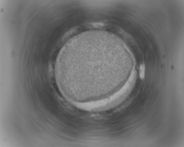 X0000082721395200702232309