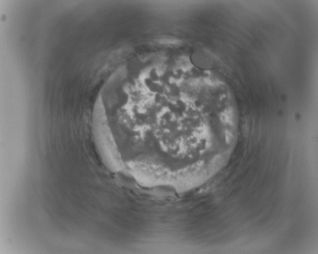 X0000082721397200702232309