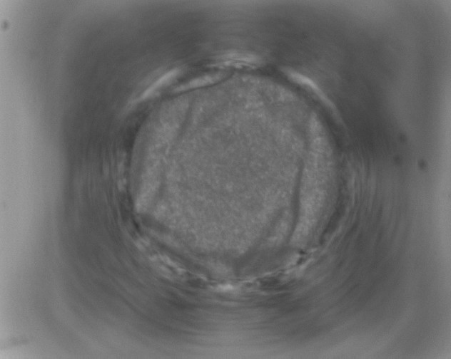 X0000082721399200702232309