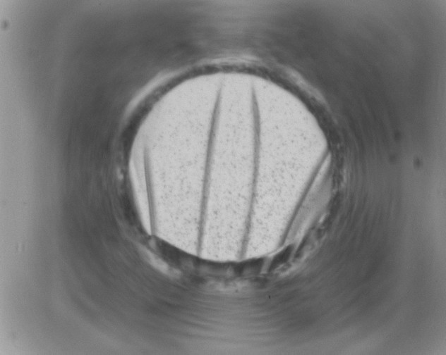 X0000082721400200702232309